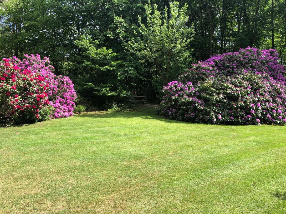 Diamond Ferienwohnung&bed&breakfast